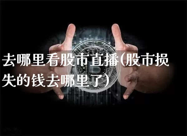 去哪里看股市直播(股市损失的钱去哪里了)_https://www.erdeww.com_期货资讯_第1张