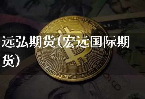 远弘期货(宏远国际期货)_https://www.erdeww.com_期货行情_第1张