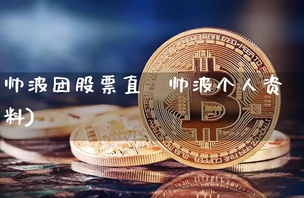 帅波团股票直撿帅波个人资料)_https://www.erdeww.com_期货资讯_第1张