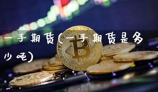 一手期货(一手期货是多少吨)_https://www.erdeww.com_期货_第1张