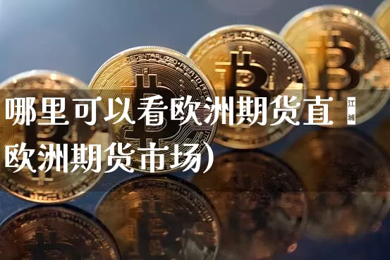 哪里可以看欧洲期货直撿欧洲期货市场)_https://www.erdeww.com_期货_第1张