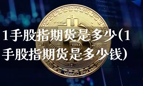 1手股指期货是多少(1手股指期货是多少钱)_https://www.erdeww.com_期货行情_第1张