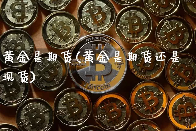 黄金是期货(黄金是期货还是现货)_https://www.erdeww.com_期货_第1张