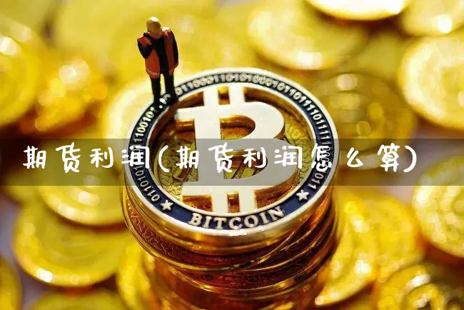 期货利润(期货利润怎么算)_https://www.erdeww.com_期货走势_第1张