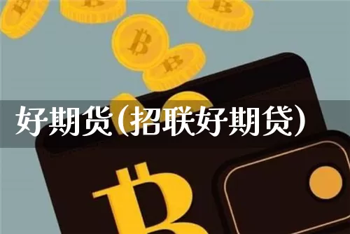 好期货(招联好期贷)_https://www.erdeww.com_期货_第1张