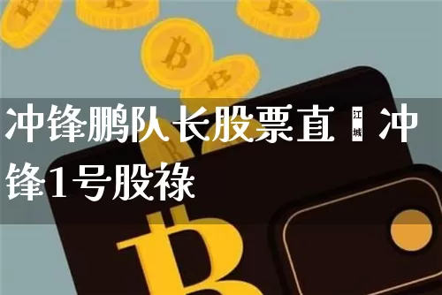 冲锋鹏队长股票直撿冲锋1号股祿_https://www.erdeww.com_期货走势_第1张