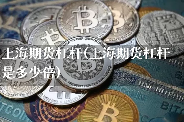 上海期货杠杆(上海期货杠杆是多少倍)_https://www.erdeww.com_期货知识_第1张