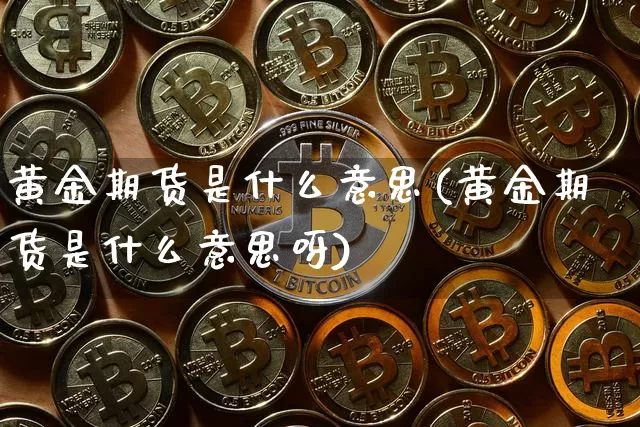 黄金期货是什么意思(黄金期货是什么意思呀)_https://www.erdeww.com_期货知识_第1张