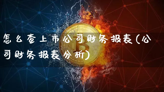 怎么查上市公司财务报表(公司财务报表分析)_https://www.erdeww.com_期货行情_第1张