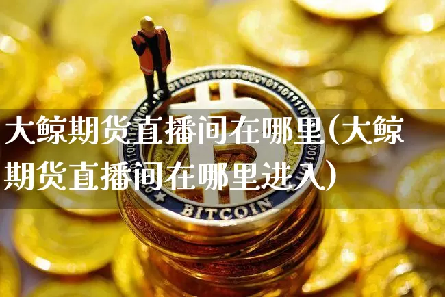 大鲸期货直播间在哪里(大鲸期货直播间在哪里进入)_https://www.erdeww.com_期货_第1张