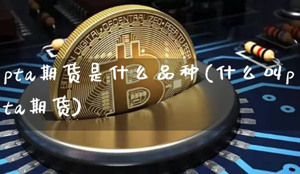 pta期货是什么品种(什么叫pta期货)_https://www.erdeww.com_期货走势_第1张