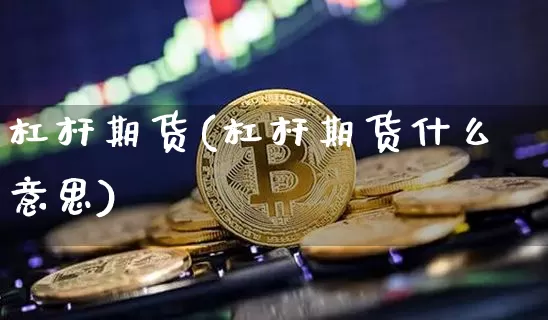 杠杆期货(杠杆期货什么意思)_https://www.erdeww.com_期货知识_第1张