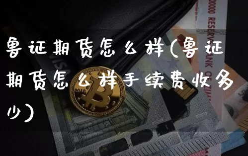 鲁证期货怎么样(鲁证期货怎么样手续费收多少)_https://www.erdeww.com_期货走势_第1张