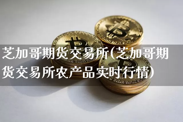 芝加哥期货交易所(芝加哥期货交易所农产品实时行情)_https://www.erdeww.com_期货行情_第1张