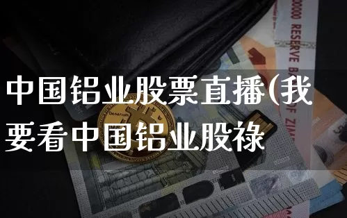 中国铝业股票直播(我要看中国铝业股祿_https://www.erdeww.com_期货走势_第1张