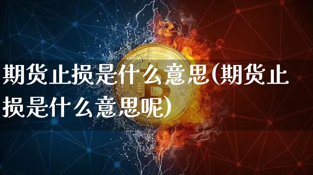 期货止损是什么意思(期货止损是什么意思呢)_https://www.erdeww.com_期货_第1张