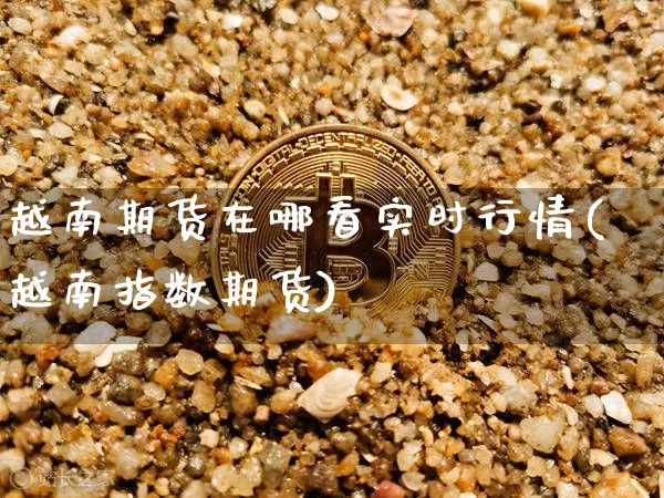越南期货在哪看实时行情(越南指数期货)_https://www.erdeww.com_期货资讯_第1张