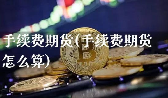 手续费期货(手续费期货怎么算)_https://www.erdeww.com_期货行情_第1张