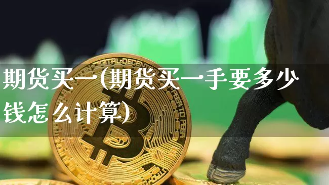 期货买一(期货买一手要多少钱怎么计算)_https://www.erdeww.com_期货_第1张