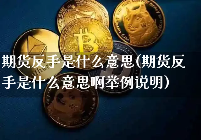 期货反手是什么意思(期货反手是什么意思啊举例说明)_https://www.erdeww.com_期货资讯_第1张