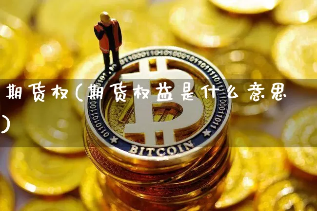 期货权(期货权益是什么意思)_https://www.erdeww.com_期货资讯_第1张
