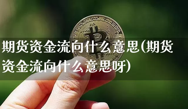 期货资金流向什么意思(期货资金流向什么意思呀)_https://www.erdeww.com_期货行情_第1张