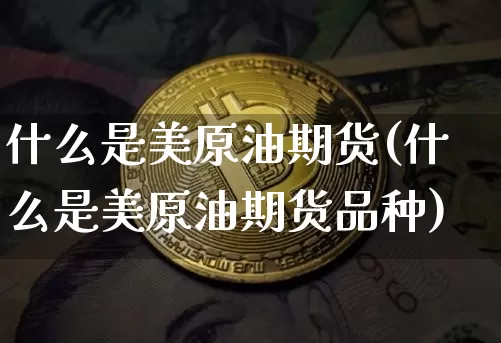 什么是美原油期货(什么是美原油期货品种)_https://www.erdeww.com_期货行情_第1张