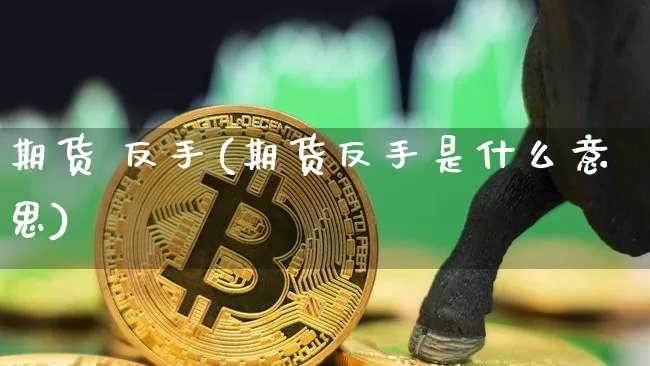 期货 反手(期货反手是什么意思)_https://www.erdeww.com_期货行情_第1张