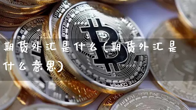 期货外汇是什么(期货外汇是什么意思)_https://www.erdeww.com_期货_第1张