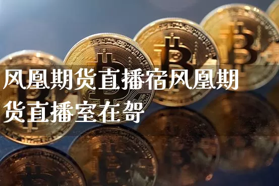 风凰期货直播宿风凰期货直播室在哿_https://www.erdeww.com_期货走势_第1张