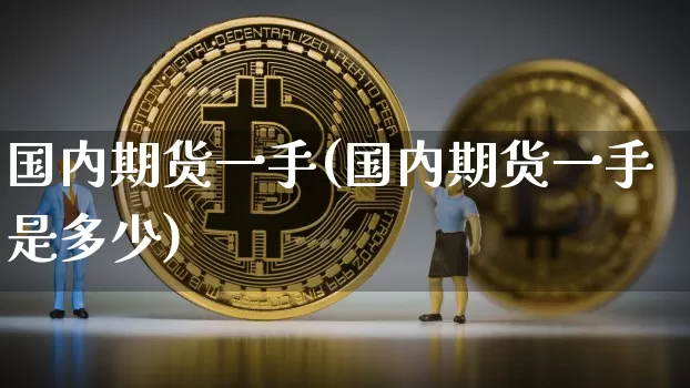 国内期货一手(国内期货一手是多少)_https://www.erdeww.com_期货行情_第1张