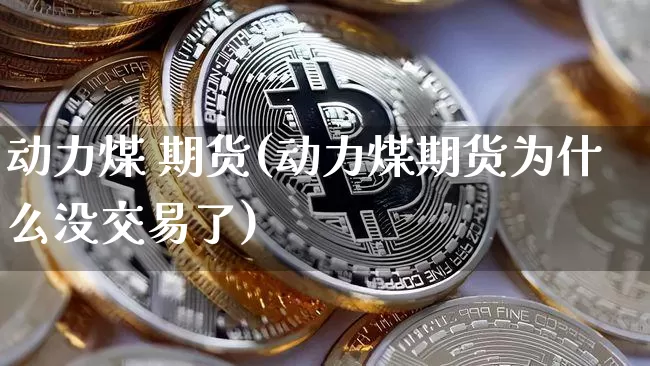 动力煤 期货(动力煤期货为什么没交易了)_https://www.erdeww.com_期货_第1张