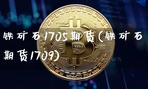 铁矿石1705期货(铁矿石期货1709)_https://www.erdeww.com_期货知识_第1张
