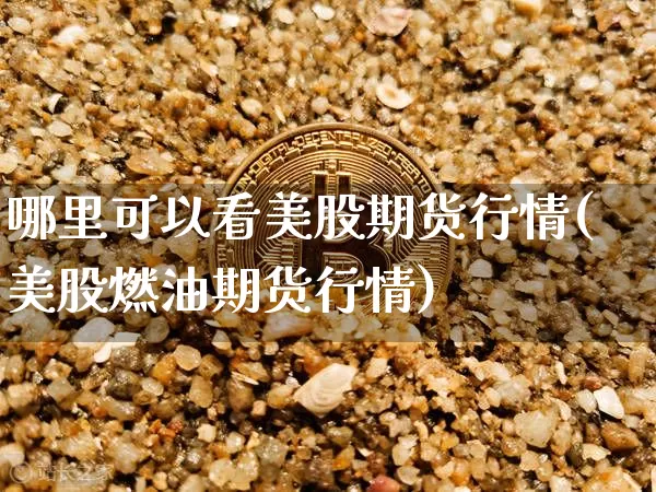 哪里可以看美股期货行情(美股燃油期货行情)_https://www.erdeww.com_期货知识_第1张