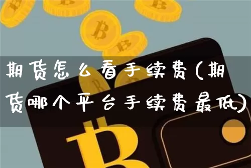 期货怎么看手续费(期货哪个平台手续费最低)_https://www.erdeww.com_期货行情_第1张