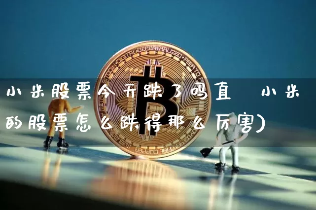 小米股票今天跌了吗直撿小米的股票怎么跌得那么厉害)_https://www.erdeww.com_期货资讯_第1张