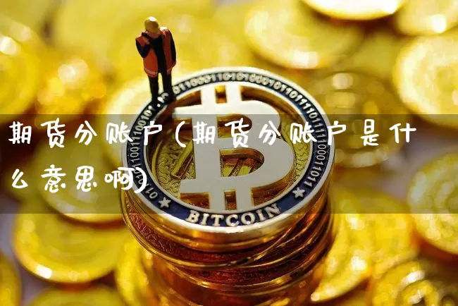期货分账户(期货分账户是什么意思啊)_https://www.erdeww.com_期货资讯_第1张