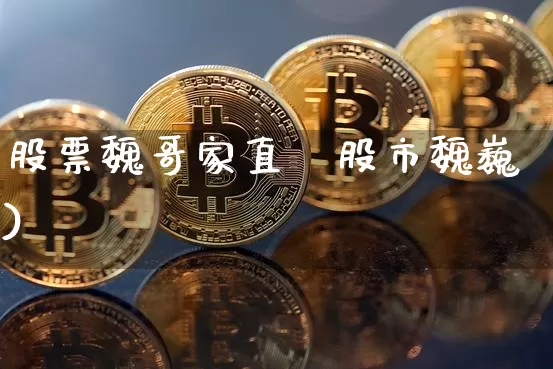 股票魏哥家直撿股市魏巍)_https://www.erdeww.com_期货走势_第1张