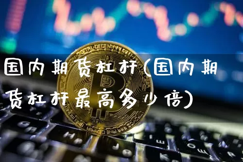 国内期货杠杆(国内期货杠杆最高多少倍)_https://www.erdeww.com_期货知识_第1张