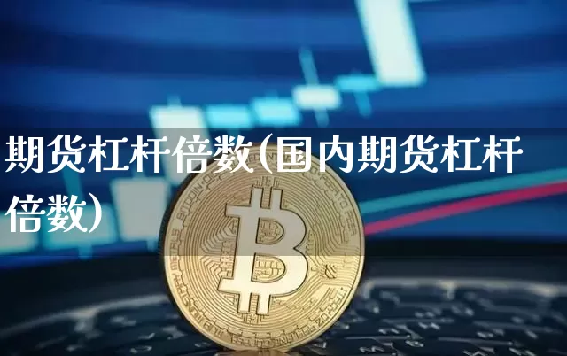 期货杠杆倍数(国内期货杠杆倍数)_https://www.erdeww.com_期货行情_第1张