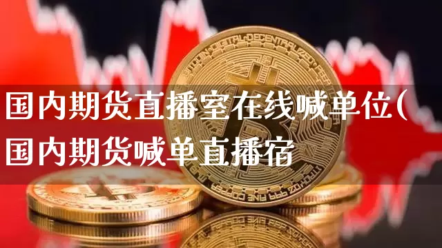 国内期货直播室在线喊单位(国内期货喊单直播宿_https://www.erdeww.com_期货资讯_第1张