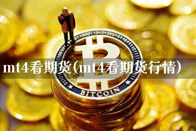 mt4看期货(mt4看期货行情)_https://www.erdeww.com_期货知识_第1张