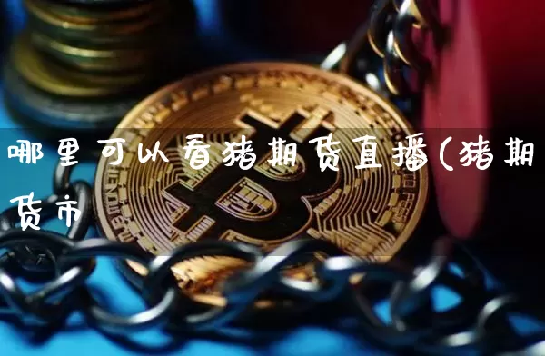 哪里可以看猪期货直播(猪期货市圿_https://www.erdeww.com_期货资讯_第1张