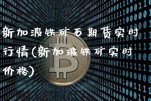新加波铁矿石期货实时行情(新加玻铁矿实时价格)_https://www.erdeww.com_期货资讯_第1张