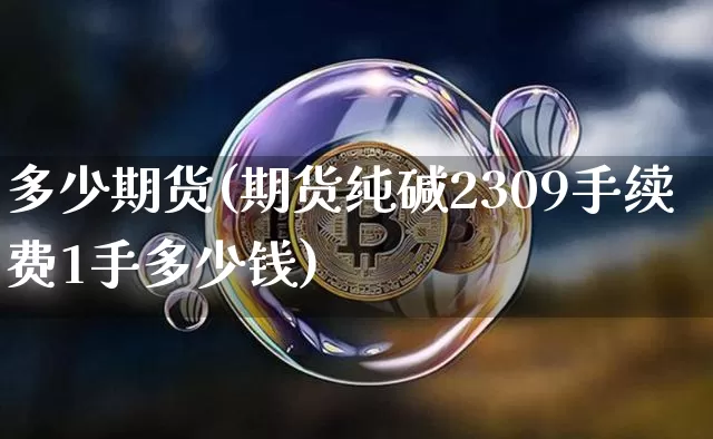 多少期货(期货纯碱2309手续费1手多少钱)_https://www.erdeww.com_期货_第1张