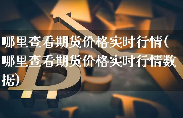 哪里查看期货价格实时行情(哪里查看期货价格实时行情数据)_https://www.erdeww.com_期货知识_第1张