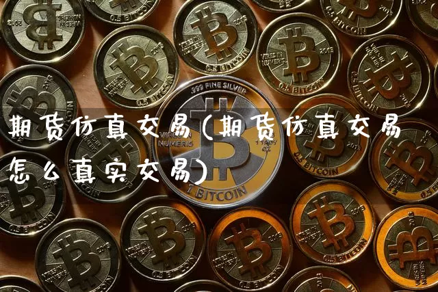 期货仿真交易(期货仿真交易怎么真实交易)_https://www.erdeww.com_期货行情_第1张