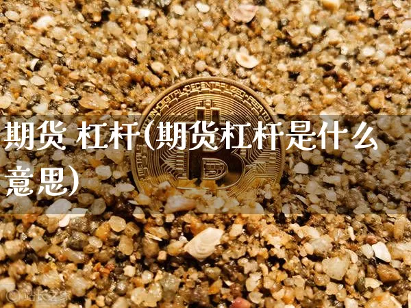 期货 杠杆(期货杠杆是什么意思)_https://www.erdeww.com_期货知识_第1张