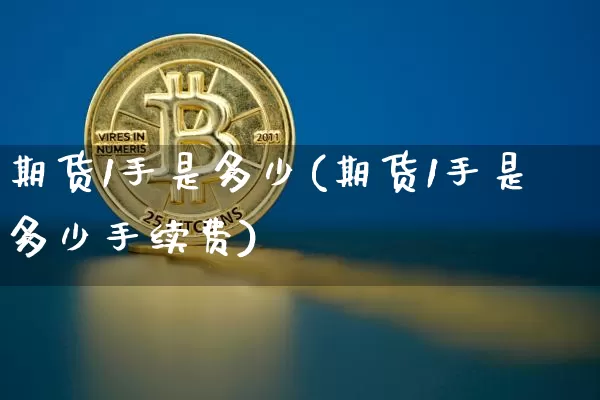 期货1手是多少(期货1手是多少手续费)_https://www.erdeww.com_期货走势_第1张