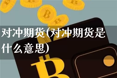 对冲期货(对冲期货是什么意思)_https://www.erdeww.com_期货知识_第1张